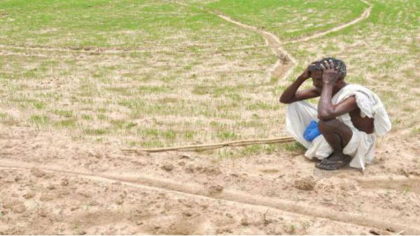 लगातार दो वर्षों के सूखे से 2015 में आत्महत्याओं में तेज उछाल आया था
