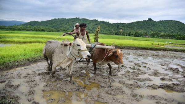 farmers farmers
