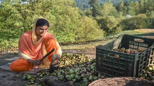 'पिछले कुछ वर्षों में सरकार से अच्छी मदद मिली है'