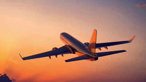 flight flight