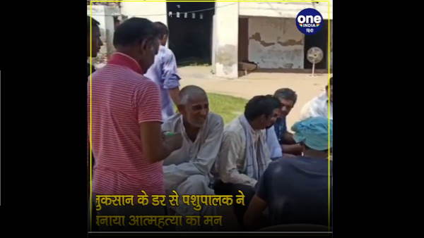 Charkhi Dadri: Thieves stole 17 buffaloes from a dairy in village Charkhi Dadri: Thieves stole 17 buffaloes from a dairy in village