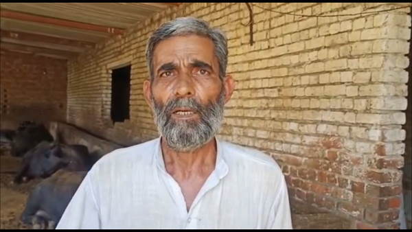 Charkhi Dadri: Thieves stole 17 buffaloes from a dairy in village Charkhi Dadri: Thieves stole 17 buffaloes from a dairy in village