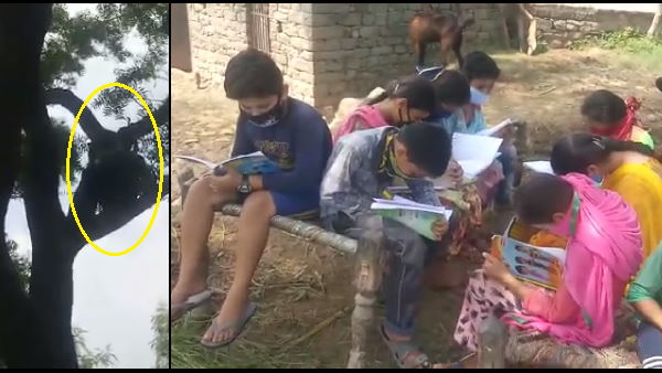online study due to coronavirus : haryanas this village children studying without mobile network online study due to coronavirus : haryanas this village children studying without mobile network