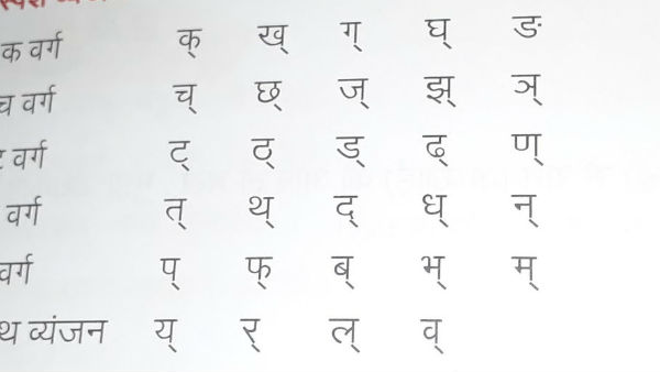 भाषा का सम्मान