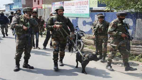 सफल हुई है विक्टर फोर्स की रणनीति