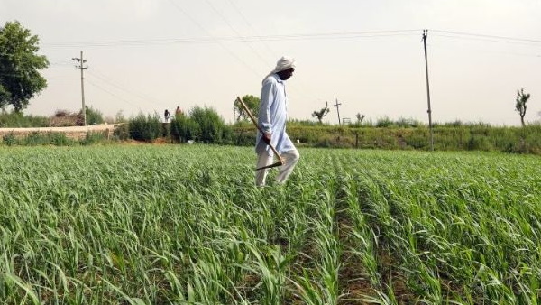 Union Budget 2021: PM Kisan Samman Nidhi Yojana, Farmers may get Rs 9000 after Budget 2021 Union Budget 2021: PM Kisan Samman Nidhi Yojana, Farmers may get Rs 9000 after Budget 2021