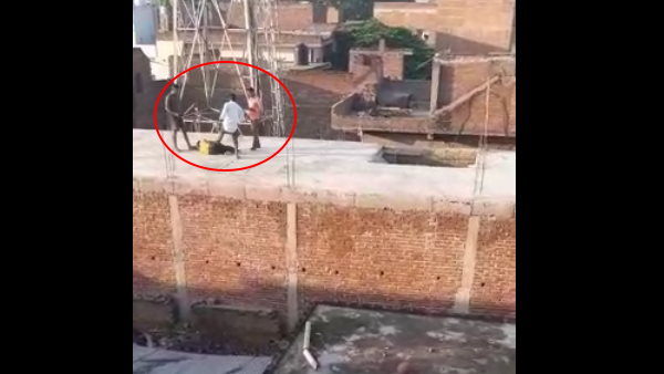 A dalit lynched by four men, akhilsh yadav condemned incident A dalit lynched by four men, akhilsh yadav condemned incident
