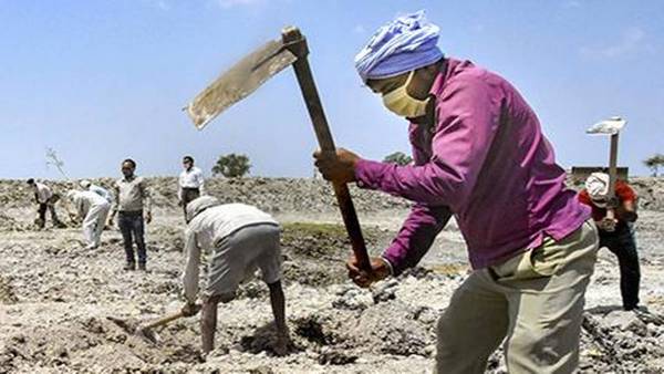 MNREGA MNREGA
