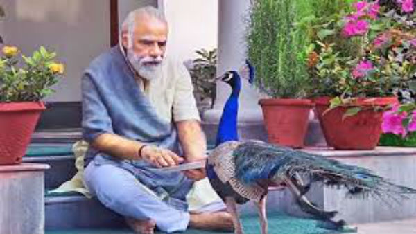 राहुल ने PM मोदी के इंस्टाग्राम पर शेयर किए गए वीडियो का जिक्र किया