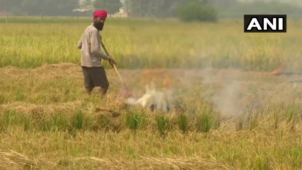 Farmers continue to burn stubble in their fields Amritsar Punjab Farmers continue to burn stubble in their fields Amritsar Punjab