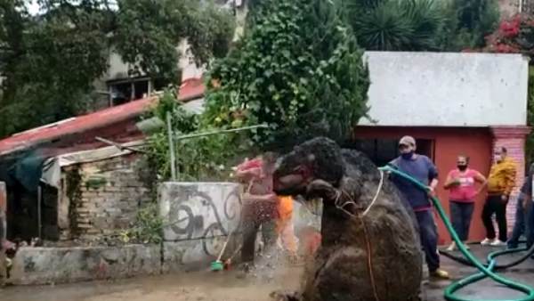कैसे खोया था चूहे का प्रॉप?