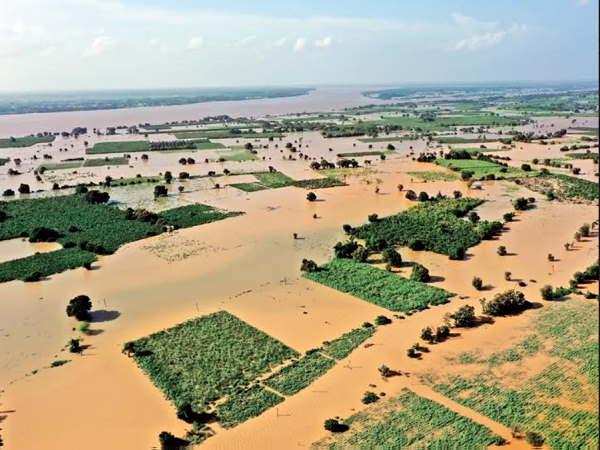 गुजरात में अब तक हुई इतनी बारिश
