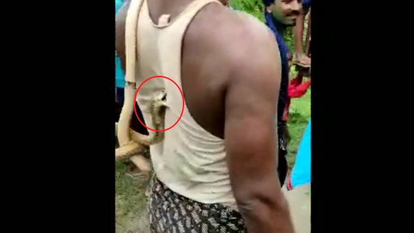लाइव वीडियो आया सामने