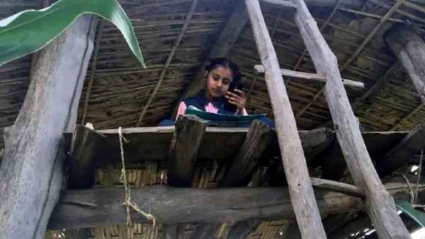 11 साल की सफा जरीन के पिछड़े गांव में नहीं आता नेटवर्क,
