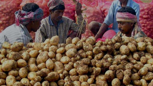 भारत की खुदरा मुद्रास्फीति में गिरावट