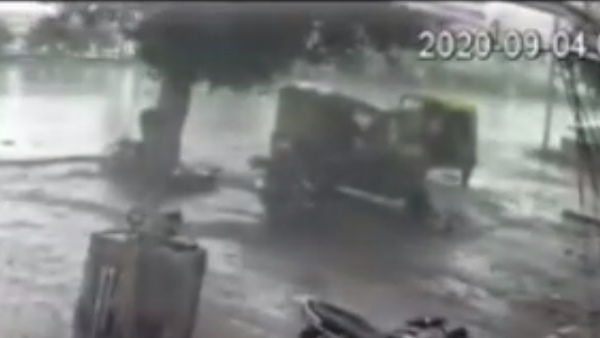 Tree fell on auto in Jodhpur Three people lost their lives Tree fell on auto in Jodhpur Three people lost their lives