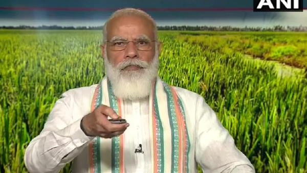 modi on MSP, narendra Modi, एमएसपी पर मोदी, MSP, एमएसपी, नरेंद्र मोदी, किसान, कृषि, farmer, agriculture modi on MSP, narendra Modi, एमएसपी पर मोदी, MSP, एमएसपी, नरेंद्र मोदी, किसान, कृषि, farmer, agriculture