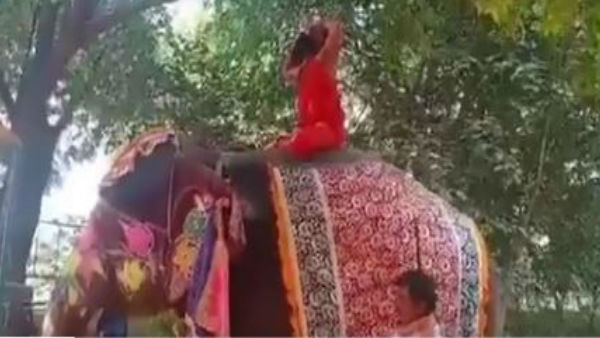 Baba Ramdev Falls Off Elephant While Doing Yoga, Gets Up Quickly; Video Goes Viral Baba Ramdev Falls Off Elephant While Doing Yoga, Gets Up Quickly; Video Goes Viral