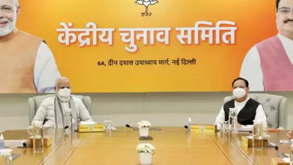 BJP releases a list of 30 star campaigners for upcoming Bihar Elections 2020 BJP releases a list of 30 star campaigners for upcoming Bihar Elections 2020