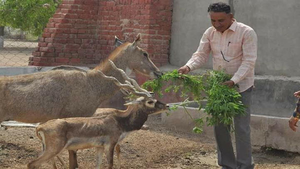सेवा का हुआ सम्मान