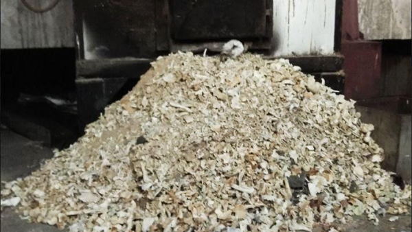 Bones Of Hundreds Of People In The Crematorium, Thier Families Are Not Coming in Fear Of coronvirus Bones Of Hundreds Of People In The Crematorium, Thier Families Are Not Coming in Fear Of coronvirus