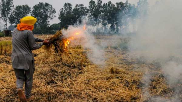 आने वाले दिनों में और भी खराब हो सकती है दिल्ली की हवा, पराली जलाने की घटनाओं में हुई वृ्द्धि आने वाले दिनों में और भी खराब हो सकती है दिल्ली की हवा, पराली जलाने की घटनाओं में हुई वृ्द्धि