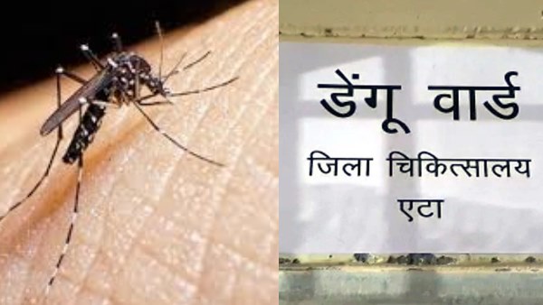 हर दूसरे घर में मौत का मातम