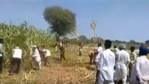 वीडियो नंबर तीन- सबसे पहला वायरल वीडियो