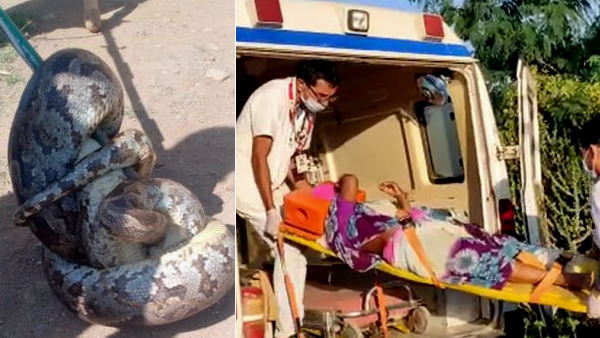 घर में अजगर ने पीछे से महिला को लपेटा
