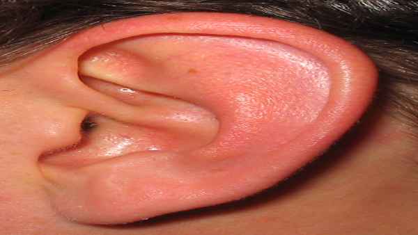 ear ear
