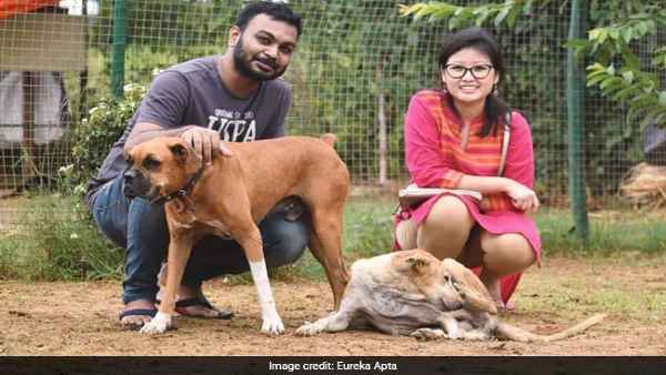 नवयुगल जोड़े को इस घटना से मिली प्रेरणा