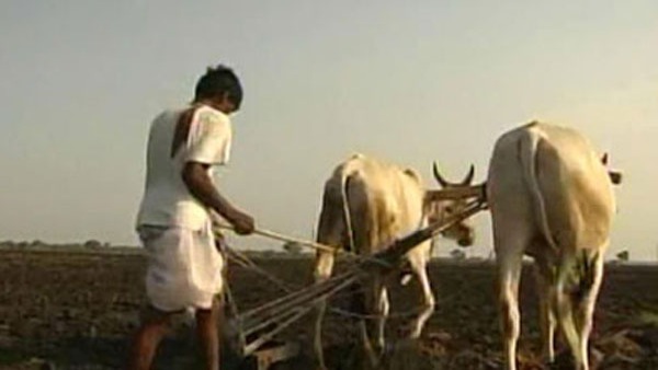 farmers farmers