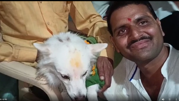 नरेश राजपूत के कुत्ते शेरु ने उतारी गगरी