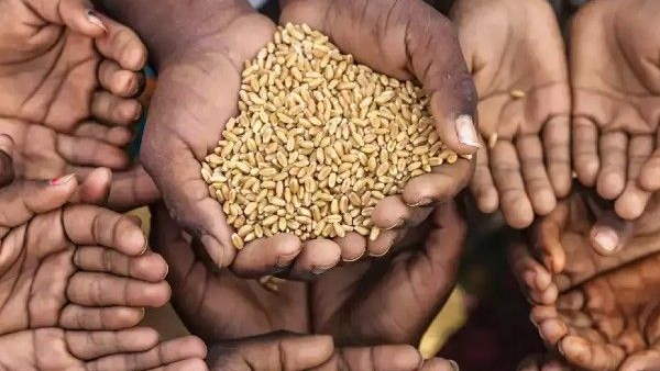 Under food safety act, Gujarat Government will Provide Food Grains At Cheap Prices to More Than 50 Lakh Poor general Class People Under food safety act, Gujarat Government will Provide Food Grains At Cheap Prices to More Than 50 Lakh Poor general Class People
