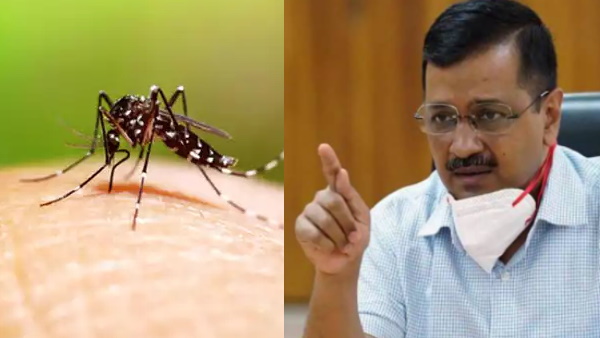 Delhi scramble against dengue continues under 10 week 10 pm 10 minute campaign CM Kejriwal will support shopkeepers Delhi scramble against dengue continues under 10 week 10 pm 10 minute campaign CM Kejriwal will support shopkeepers