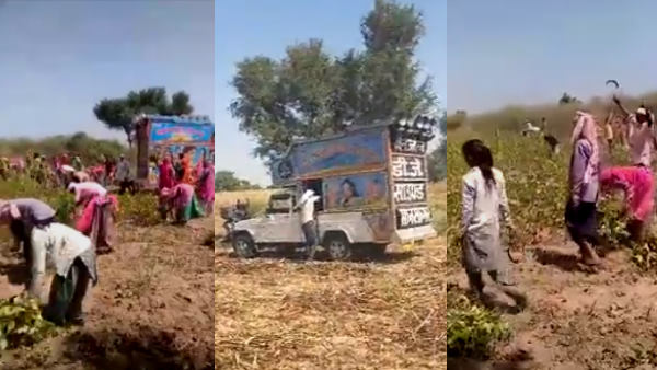 खेत खलियानों में पहुंच रहे डीजे