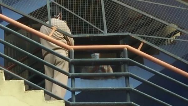 rajya sampati department officer found dead in lucknow ocr building rajya sampati department officer found dead in lucknow ocr building