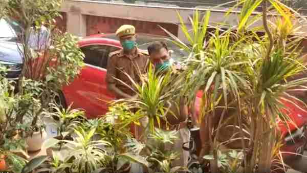BSP MP Maluk Nagar noida residence and hapur raids by Income tax department BSP MP Maluk Nagar noida residence and hapur raids by Income tax department