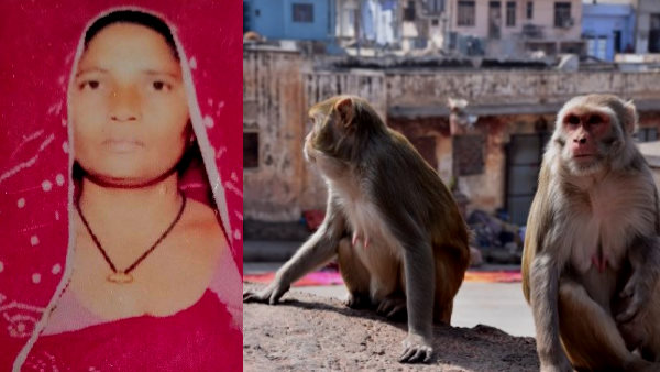 Sikar Woman who donated kidney to husband dies in Kotari Luharwas Village Sikar Woman who donated kidney to husband dies in Kotari Luharwas Village