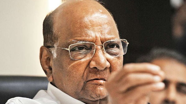 NCP will contest Bihar assembly election alone NCP will contest Bihar assembly election alone