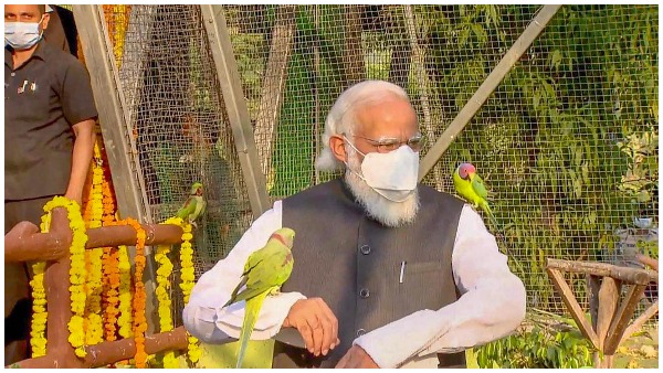PM Modi PM Modi