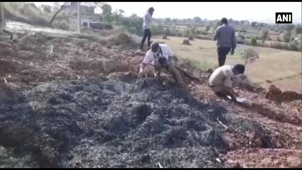 भाजपा का प्रदेश स्तरीय दल भी आएगा