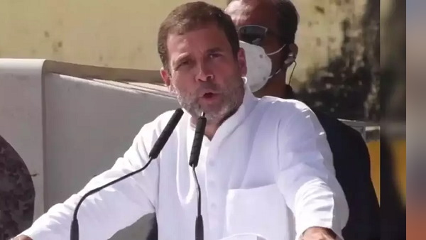 Rahul Gandhi Rally In Bihar, Congress, Rahul Gandhi Rally In Bihar, Congress,