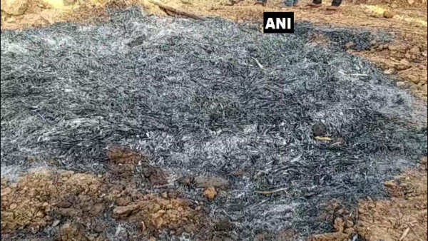 पेट्रोल डालकर जिंदा जलाया