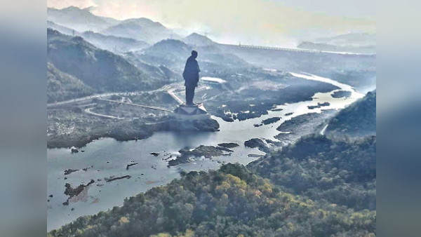 एकता नर्सरी: 1 लाख पौधे रोपे गए