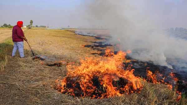 SC suspended its order to set up a single member committee to monitor stubble burning SC suspended its order to set up a single member committee to monitor stubble burning