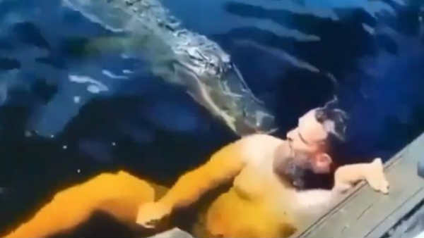Viral Video: मगरमच्छ के साथ स्विमिंग कर रहा था शख्स, अचानक हुआ कुछ ऐसा कि... Viral Video: मगरमच्छ के साथ स्विमिंग कर रहा था शख्स, अचानक हुआ कुछ ऐसा कि...