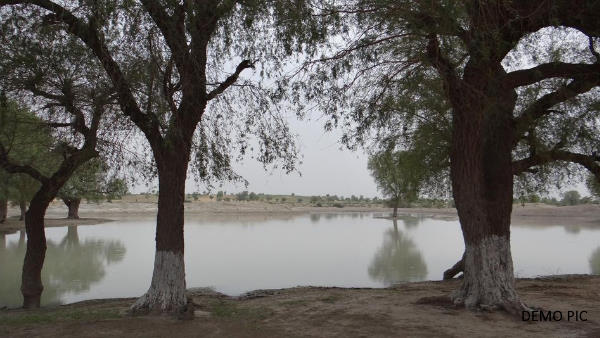 Rajasthan: Three children of the same family drown in pond in Sardarshahar, three died Rajasthan: Three children of the same family drown in pond in Sardarshahar, three died
