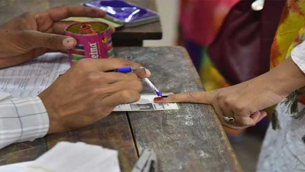 12 प्रतिशत मतदाता डालेंगे अपना वोट