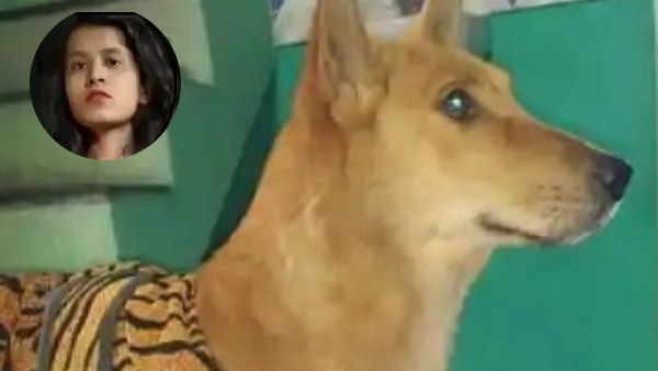 raipur girl take extreme step after death of pet dog raipur girl take extreme step after death of pet dog
